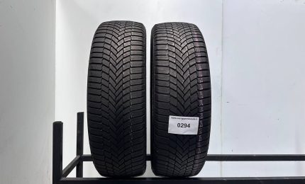 195/55R20 95H XL BRIDGESTONE WEATHER CONTROL A005 EVO