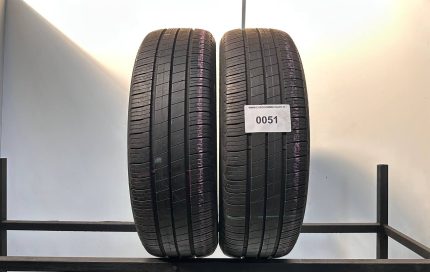 195/55R20 95H GOODYEAR EFFICIENTGRIP PERFORMANCE