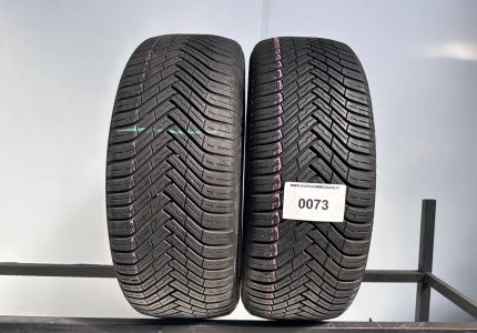 225/55R17 101W XL NEXEN N'BLUE 4SEASON 2